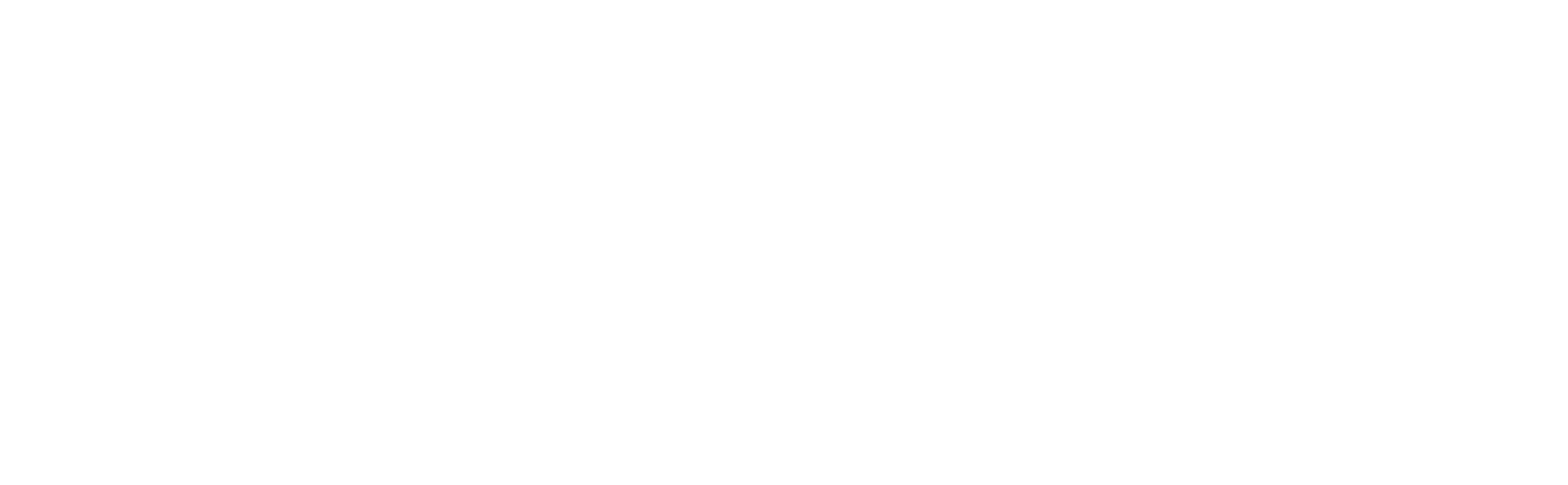 Aria Pro II brand logo